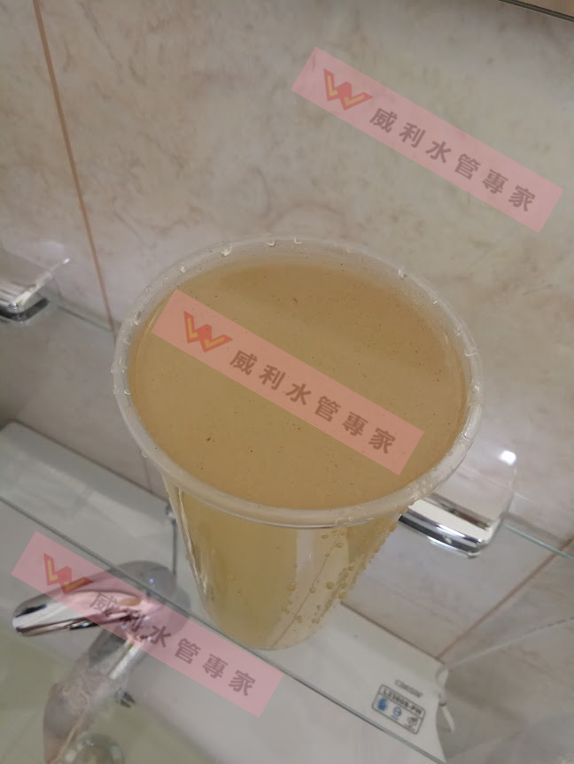 豐邑新成屋