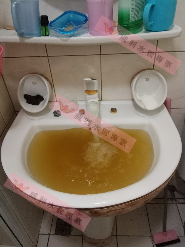 壹電視王又冉主播