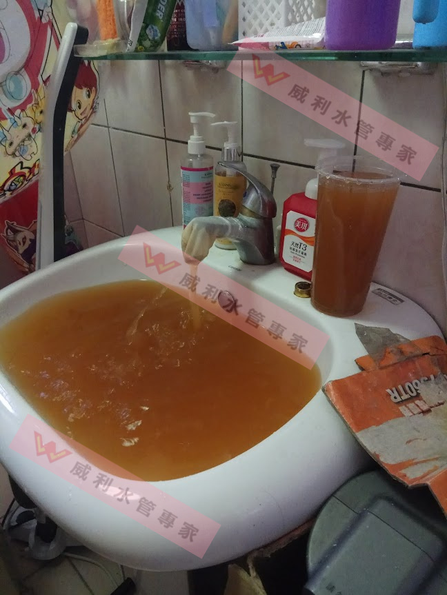 壹電視林莉婷主播